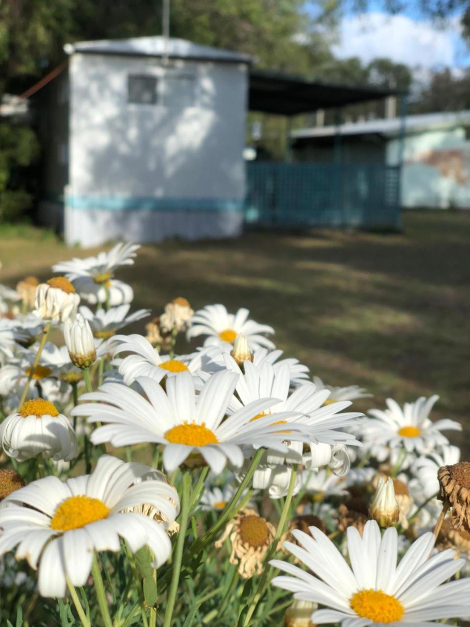 Lazy Days Caravan Park Vasse Екстер'єр фото